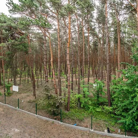 Ratibora Jurata, Sun & Snow *