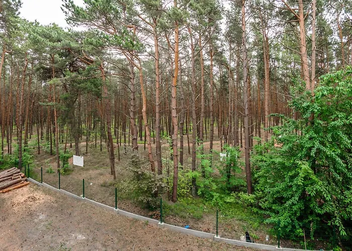 Ratibora Jurata, Sun & Snow *